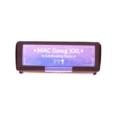 Mac Dawg XXL Auto > Silent Seeds | Autoflowering Hanfsamen  |  Hybrid